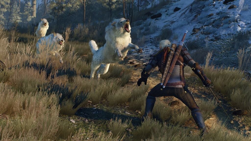 The Witcher 3 Wild Hunt (1)