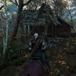 The Witcher 3 Wild Hunt (2)