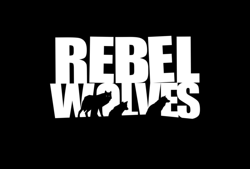 Former CD Projekt Red game designer joins Rebel Wolves as creative director